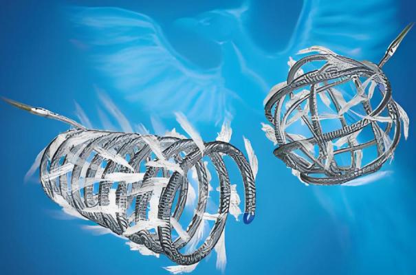 外周可解脫帶纖維毛彈簧圈栓塞系統(tǒng) 供應(yīng)商