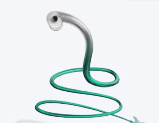 經(jīng)橈動(dòng)脈神經(jīng)血管遠(yuǎn)端通路導(dǎo)管廠家