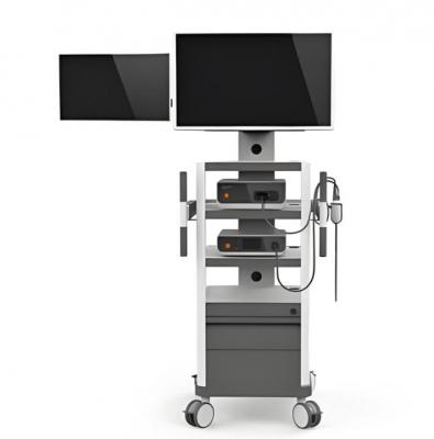 3d 電子胸腹腔鏡 lps31000 廠家